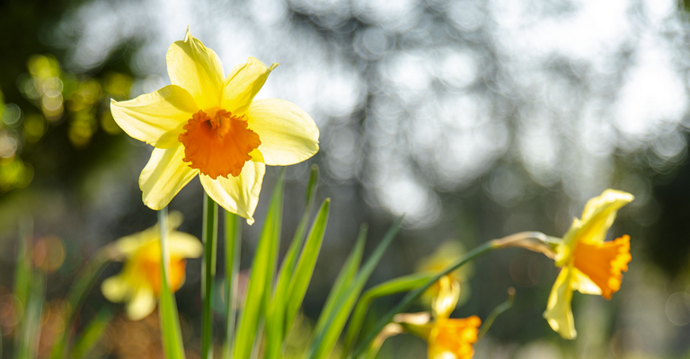 Bienvenue dans une ville à vivre, une ville qui vit et respire, qui se construit pour aujourd’hui et demain dans un cadre préservé.