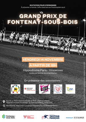 Agrandir l'image, .PNG 1 MB (fenêtre modale)