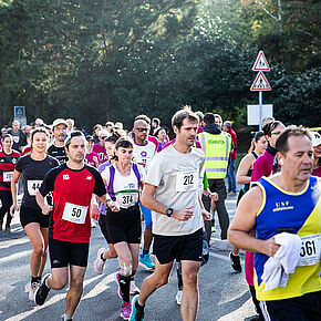 Agrandir l'image, .JPG 417,8 KB (fenêtre modale)