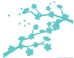 24- Sakura - Agrandir l'image, .JPG 46 KB (fenêtre modale)