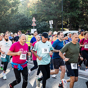 Agrandir l'image, .JPG 478,5 KB (fenêtre modale)