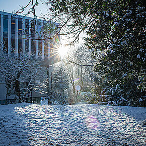 Agrandir l'image, .JPG 391,0 KB (fenêtre modale)