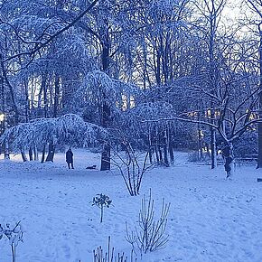 Agrandir l'image, .JPG 343,0 KB (fenêtre modale)