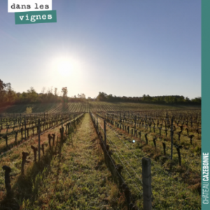 Agrandir l'image, .PNG 238 KB (fenêtre modale)