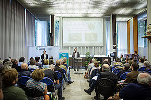 Agrandir l'image, .JPG 158 KB (fenêtre modale)