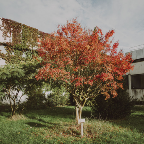 Agrandir l'image, .PNG 2,0 MB (fenêtre modale)