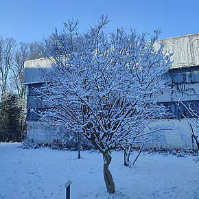 Agrandir l'image, .JPG 249,2 KB (fenêtre modale)