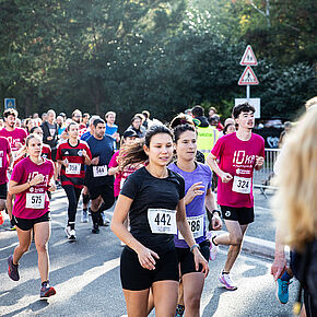 Agrandir l'image, .JPG 364,3 KB (fenêtre modale)