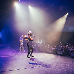 Agrandir l'image, .JPG 276,8 KB (fenêtre modale)