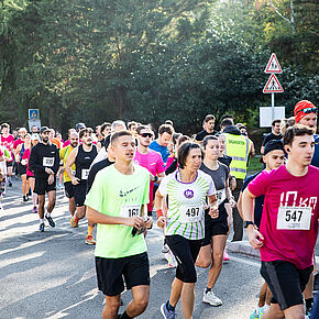 Agrandir l'image, .JPG 427,2 KB (fenêtre modale)