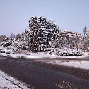 Agrandir l'image, .JPG 204,2 KB (fenêtre modale)