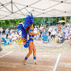 Agrandir l'image, .JPG 567,9 KB (fenêtre modale)