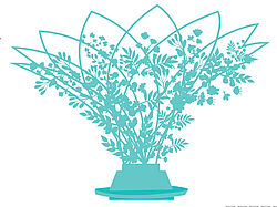 Agrandir l'image, .JPG 80 KB (fenêtre modale)