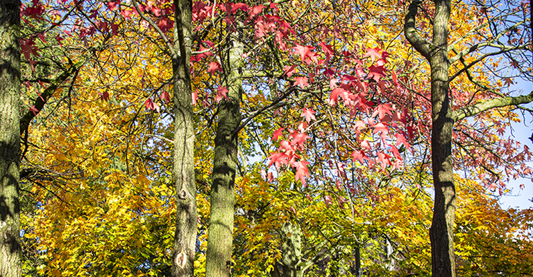 Bienvenue dans une ville à vivre, une ville qui vit et respire, qui se construit pour aujourd’hui et demain dans un cadre préservé.