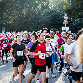 Agrandir l'image, .JPG 411,8 KB (fenêtre modale)