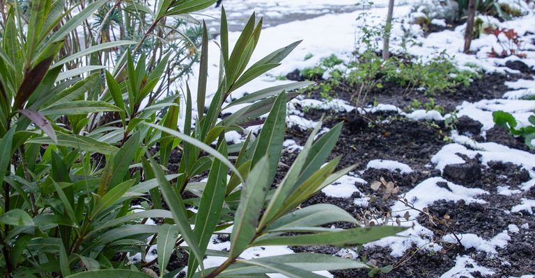 Bienvenue dans une ville à vivre, une ville qui vit et respire, qui se construit pour aujourd’hui et demain dans un cadre préservé.