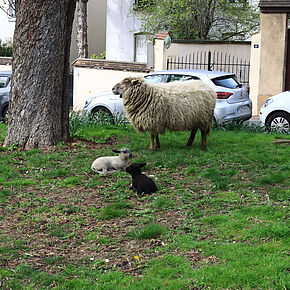 Agrandir l'image, .JPEG 677,4 Ko (fenêtre modale)