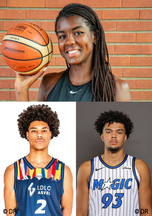 Agrandir l'image, .PNG 2 MB (fenêtre modale)