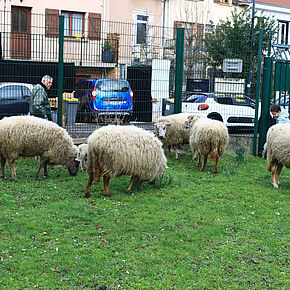 Agrandir l'image, .JPEG 684,8 Ko (fenêtre modale)
