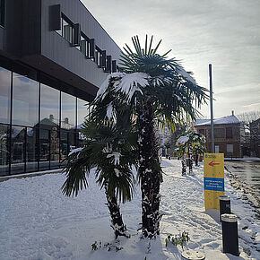 Agrandir l'image, .JPG 180,4 KB (fenêtre modale)