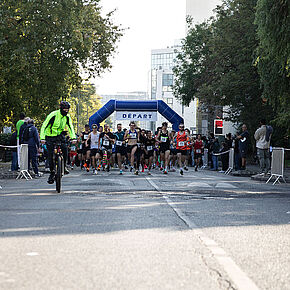 Agrandir l'image, .JPG 410,2 KB (fenêtre modale)