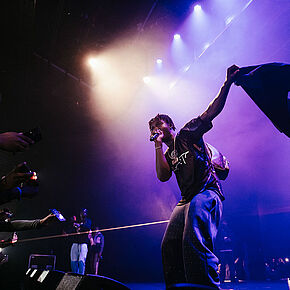 Agrandir l'image, .JPG 202,1 KB (fenêtre modale)