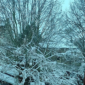 Agrandir l'image, .JPG 477,4 KB (fenêtre modale)