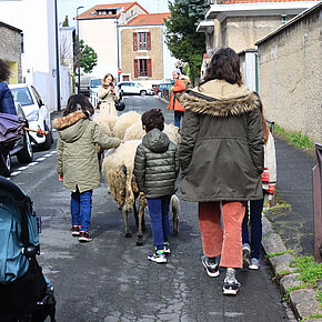 Agrandir l'image, .JPEG 461,3 Ko (fenêtre modale)