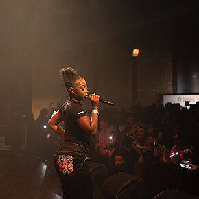 Agrandir l'image, .JPG 130,5 KB (fenêtre modale)