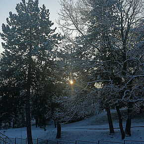 Agrandir l'image, .JPG 312,6 KB (fenêtre modale)