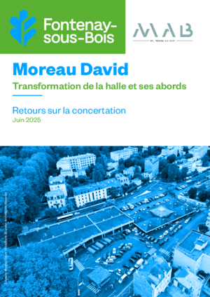 Agrandir l'image, .PDF 6 MB (fenêtre modale)