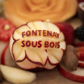 Agrandir l'image, .PNG 991,8 KB (fenêtre modale)