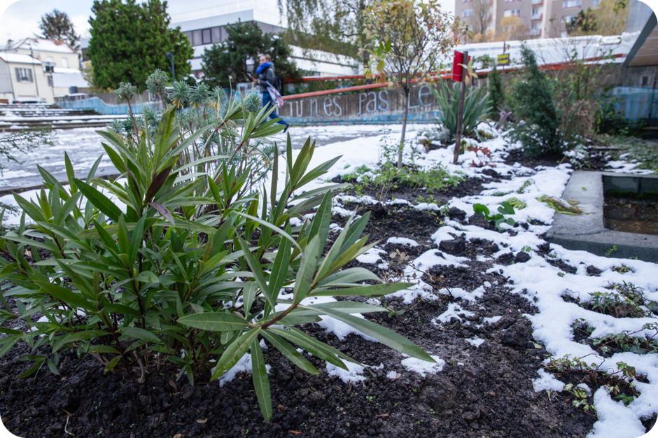 Agrandir l'image, .PNG 2 MB (fenêtre modale)