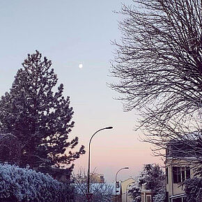 Agrandir l'image, .JPG 233,7 KB (fenêtre modale)