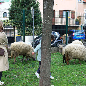 Agrandir l'image, .JPEG 650,5 Ko (fenêtre modale)