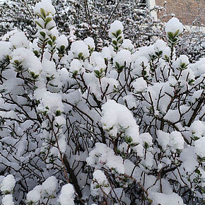 Agrandir l'image, .JPG 234,5 KB (fenêtre modale)