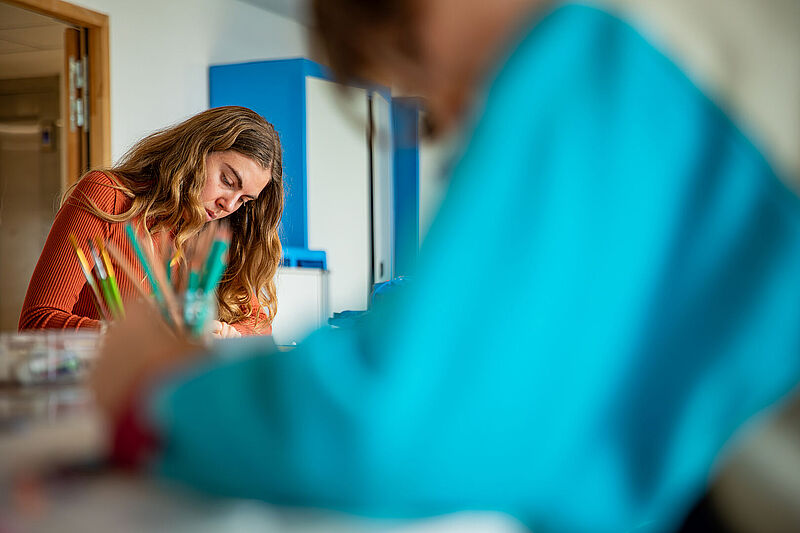 Agrandir l'image, .JPG 164 KB (fenêtre modale)