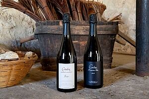 Agrandir l'image, .JPG 84 KB (fenêtre modale)