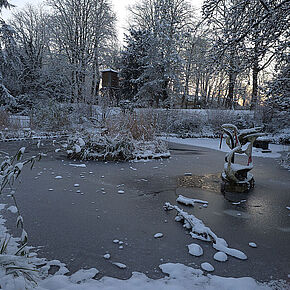 Agrandir l'image, .JPG 310,1 KB (fenêtre modale)