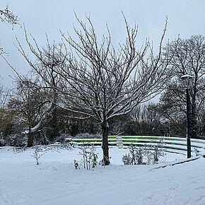 Agrandir l'image, .JPG 252,9 KB (fenêtre modale)