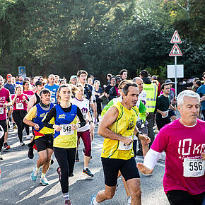 Agrandir l'image, .JPG 417,0 KB (fenêtre modale)