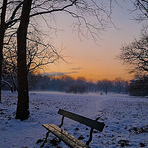 Agrandir l'image, .JPG 213,3 KB (fenêtre modale)