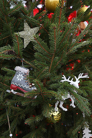 Agrandir l'image, .JPG 157 KB (fenêtre modale)