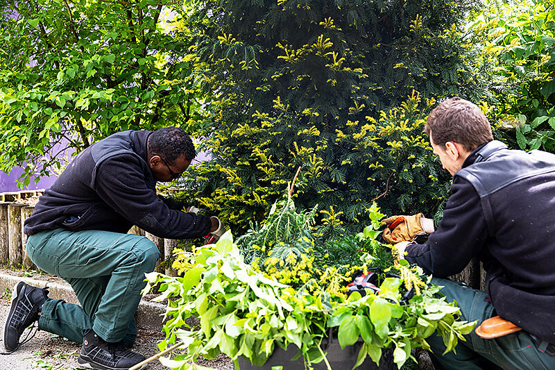 Agrandir l'image, .JPG 262 KB (fenêtre modale)