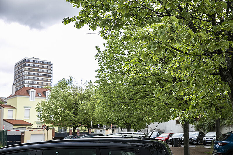 Agrandir l'image, .JPG 175 KB (fenêtre modale)